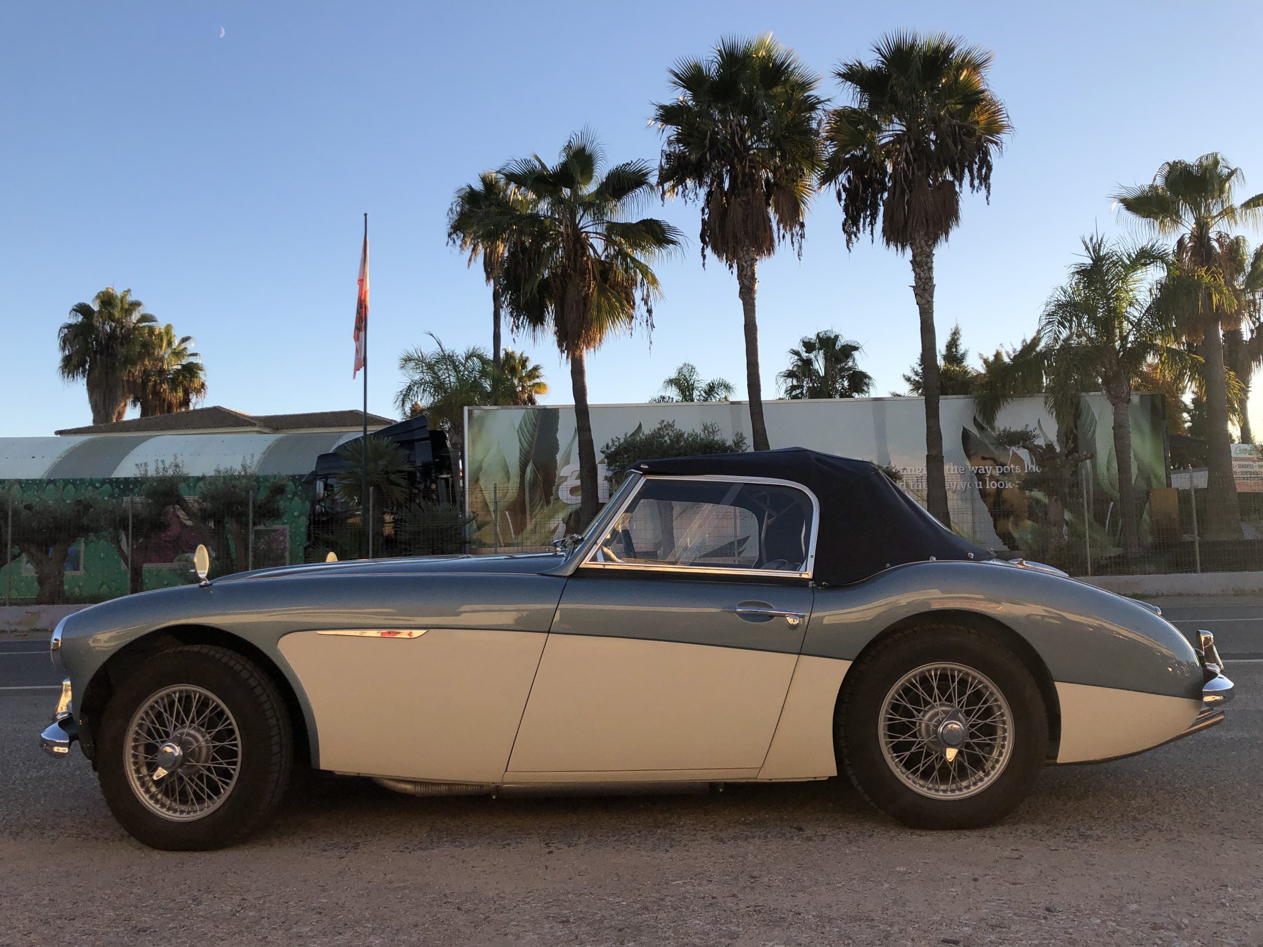 AhaConvert_Austin Healey 100 6