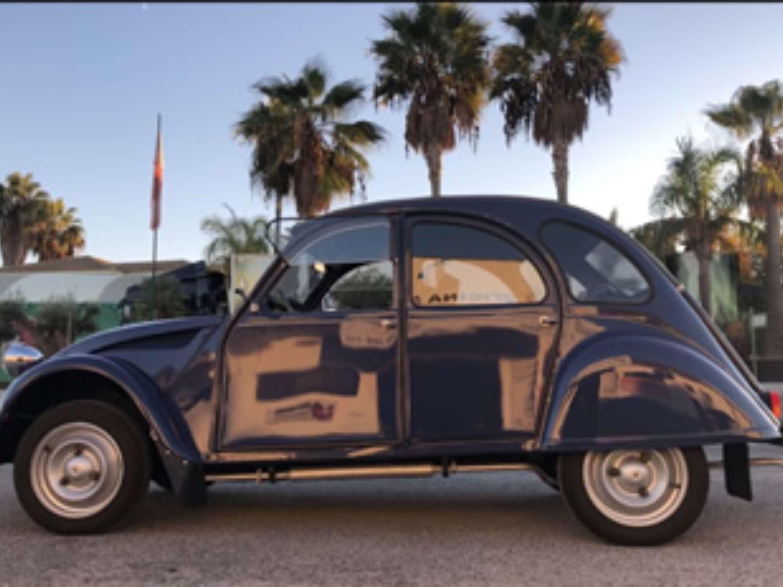 a (9)